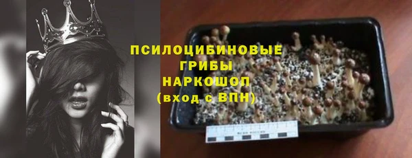 стаф Абинск