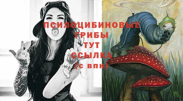 мяу мяу мука Кинешма