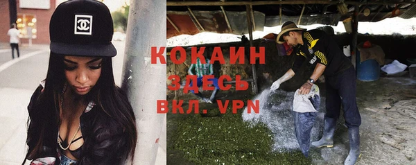 шишки Абдулино