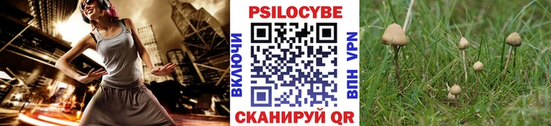 что такое наркотик darknet Telegram Галлюциногенные грибы прущие грибы Усолье-Сибирское