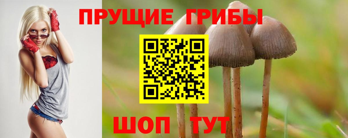 Галлюциногенные грибы Psilocybine cubensis Усолье-Сибирское